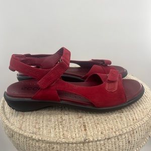 New, no box Ecco sandals beautiful color,  full of confort, size 7.5  or. 38